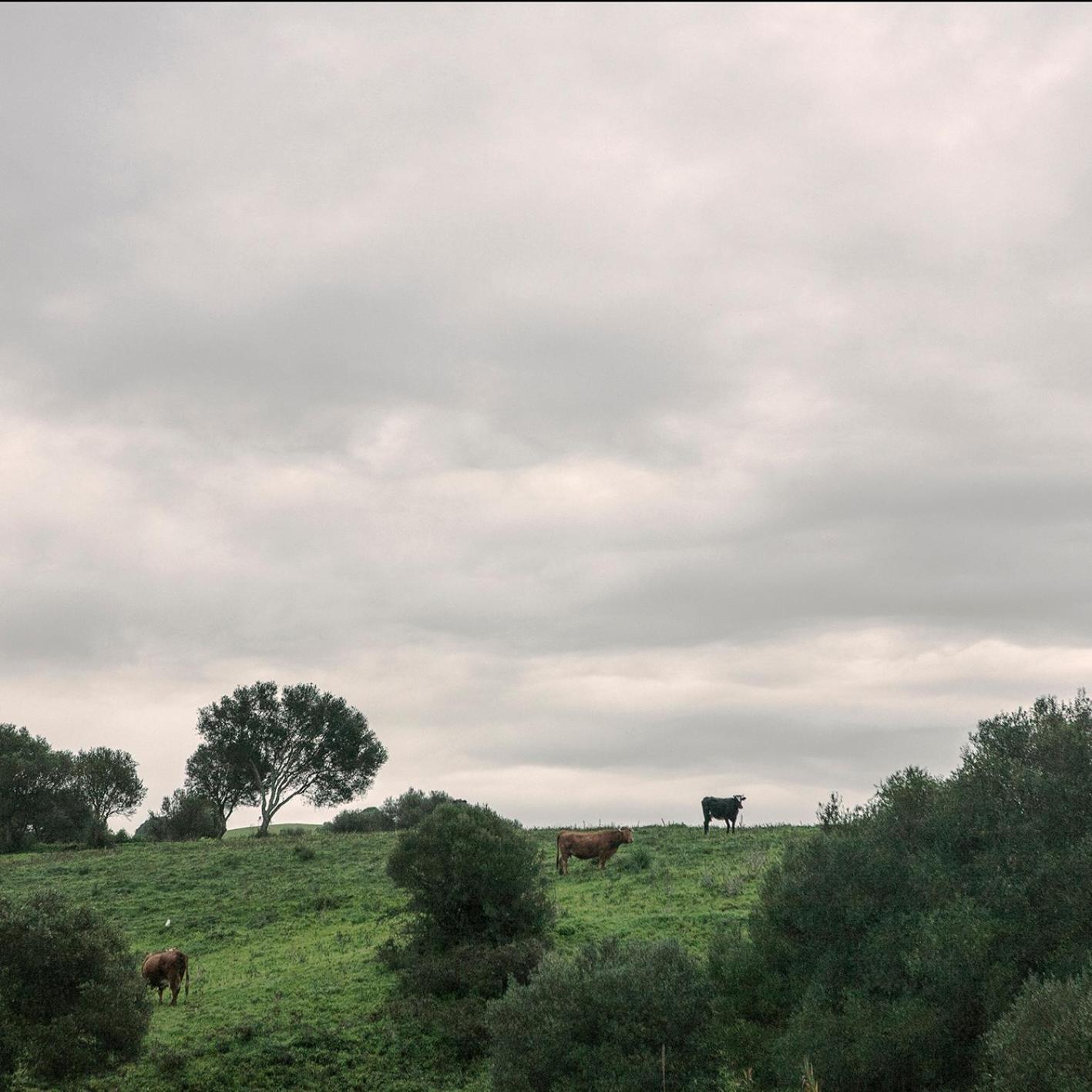 加的斯Ruralcamomo别墅 外观 照片